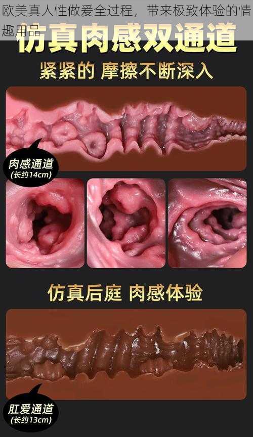 欧美真人性做爰全过程,带来极致体验的情趣用品