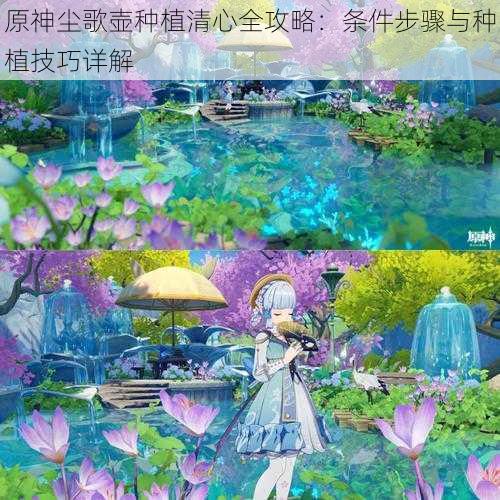 原神尘歌壶种植清心全攻略:条件步骤与种植技巧详解