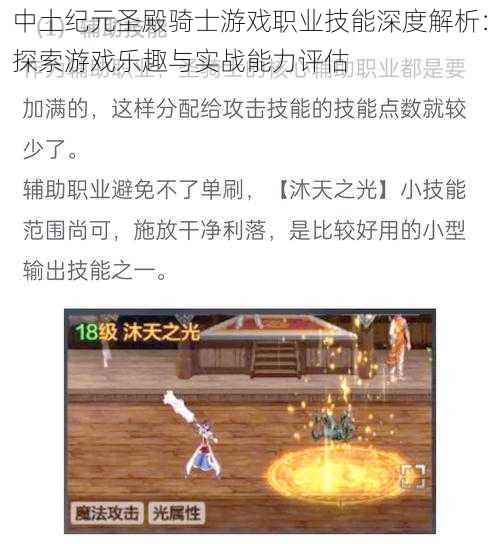 中土纪元圣殿骑士游戏职业技能深度解析:探索游戏乐趣与实战能力评估