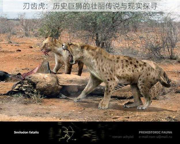 刃齿虎:历史巨狮的壮丽传说与现实探寻